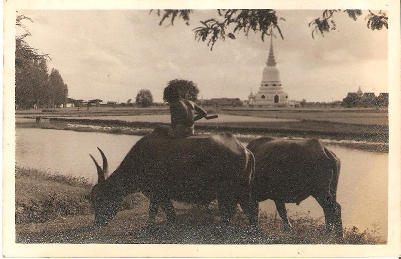 วัดพระศรีมหาธาตุวรมหาวิหาร 5