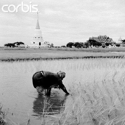วัดพระศรีมหาธาตุวรมหาวิหาร 6